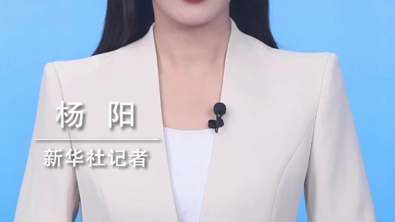 数据中台：2025年品牌排行榜背后的行业洞察